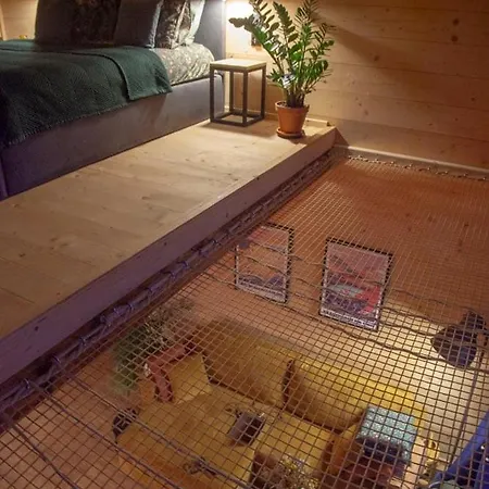 Wild Field House I Tatil Evi Dursztyn