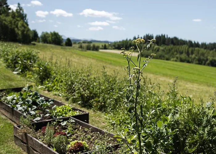 Wild Field House I 펜션 *